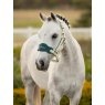 LeMieux LeMieux Mini Vogue Headcollar & Leadrope - Macaron