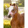 LeMieux LeMieux Mini Vogue Headcollar & Leadrope - Mallow