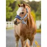 LeMieux LeMieux Mini Vogue Headcollar & Leadrope - Powder Blue
