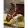 LeMieux LeMieux Versailles Headcollar - Mallow
