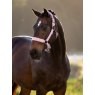 LeMieux LeMieux Essence Headcollar - Fondant