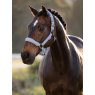 LeMieux LeMieux Essence Headcollar - Powder Blue