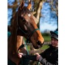 Screenshot 3 9 2026 112213 cameoequine com