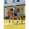 LeMieux LeMieux Mini Base Layer - Powder Blue
