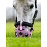 LeMieux LeMieux Noma Grazing Muzzle - Mallow