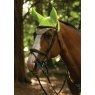 Woof Wear Woof Wear Noise Cancelling Fly Veil - Hi Vis