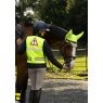 Woof Wear Woof Wear Noise Cancelling Fly Veil - Hi Vis