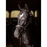 LeMieux LeMieux Leather Crystal Headcollar - Brown