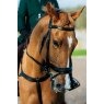 Ecorider Seamfree Anatomic Bridle