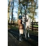Ecorider Seamfree Grackle Bridle