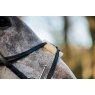 Ecorider Seamfree Grackle Bridle