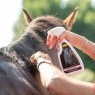 Smart Grooming Smart Grooming Tame the Mane