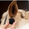 Smart Grooming Equi Plugs - Horse/Large
