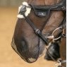 Shires Shires FlyGuard Pro Grackle Nose Net