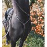 EcoRider Ecorider Core Breastplate