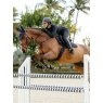 LeMieux LeMieux Brilliance Close Contact Square - Navy