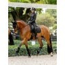 LeMieux LeMieux Brilliance Dressage Square - Black