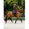 LeMieux LeMieux Brilliance Dressage Square - Espresso