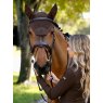 LeMieux LeMieux Brilliance Fly Hood - Espresso