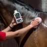 Smart Grooming Smart Grooming Lavender Splosh Wash