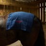 Smart Grooming Smart Grooming Handy Towel - Navy