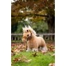 LeMieux LeMieux Toy Pony Cloudy