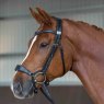 Fairfax Fairfax Drop Noseband