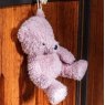 Kentucky Kentucky Relax Toy Bear - Old Rose