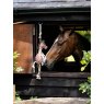 LeMieux LeMieux Horse Toy - Giraffe