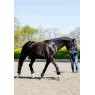 LeMieux LeMieux Rope Lunging Aid