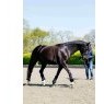 LeMieux LeMieux Rope Lunging Aid