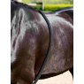 LeMieux LeMieux Rope Lunging Aid
