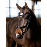 LeMieux LeMieux Kudos Sport Bridle