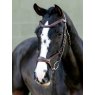 LeMieux LeMieux Kudos Sport Bridle