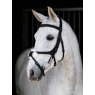 LeMieux LeMieux Kudos Grackle Work Bridle