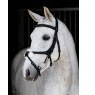 LeMieux LeMieux Kudos Grackle Work Bridle