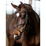 LeMieux LeMieux Kudos Grackle Work Bridle