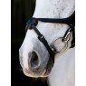 LeMieux LeMieux Kudos Grackle Work Bridle