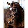 LeMieux LeMieux Kudos Grackle Work Bridle