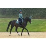 IT09173 lifestyle merino suedeclassicclosecontactsquare aloe 09