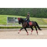 IT09179 lifestyle loireclassicdrsquare russet 09