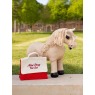 it09322 lifestyle toy pony vet set red 02