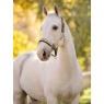 it09429 lifestylet medleyheadcollar gooseberry pear petal 01