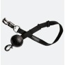 Screenshot 22 9 2026 12454 www horseware com