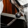 Screenshot 22 9 2026 124920 www horseware com