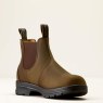 10080326 medial warm