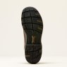 10080516 sole warm
