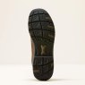 10080518 sole warm