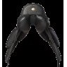 Fairfax Fairfax Performance Petrus Dressage
