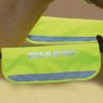 Shires Shires Equi-Flector Bridle/Halter Bands